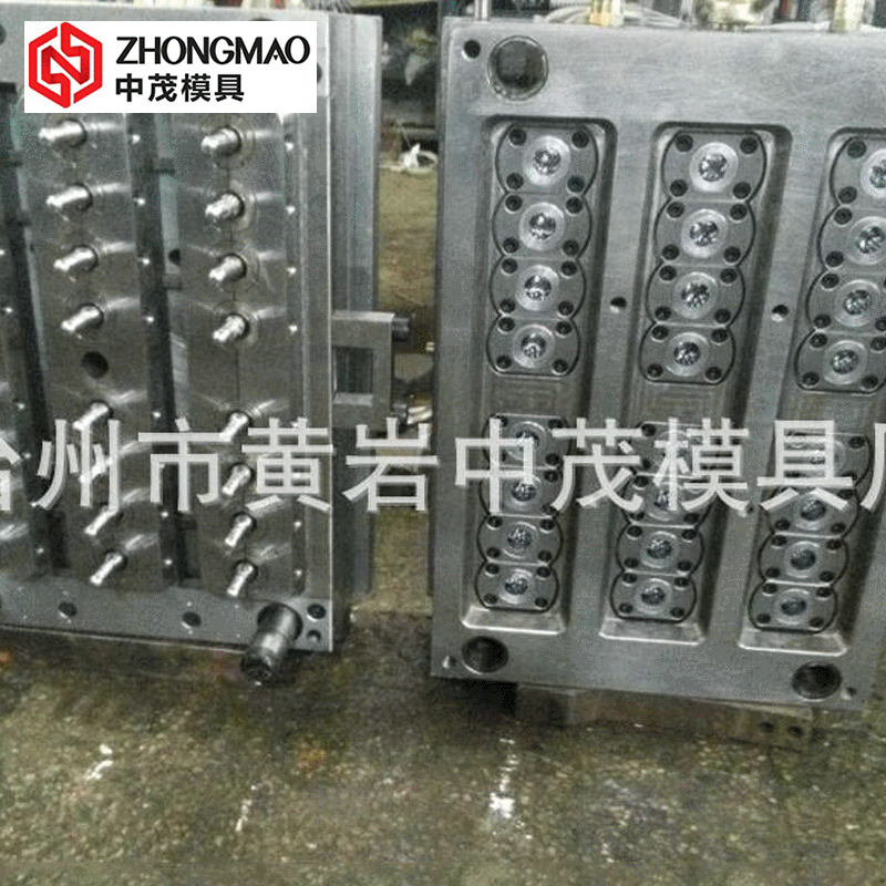 20口径酒精瓶瓶坯模具 多型腔模具厂家供应  注射成型模