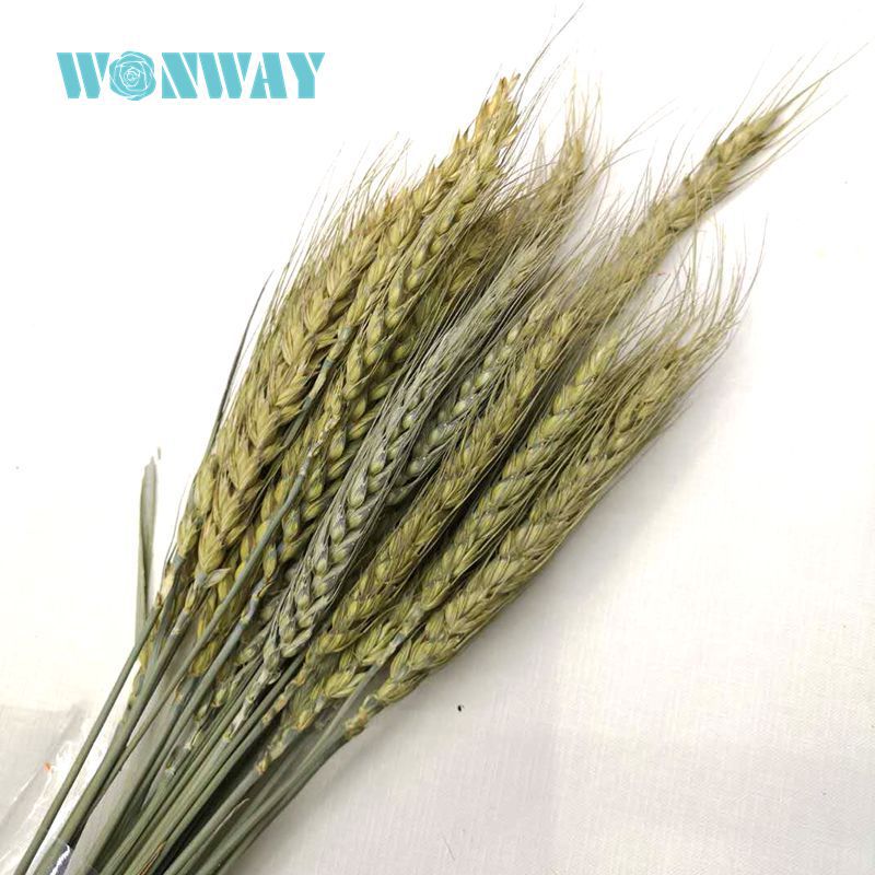 微信图片_20180707140441