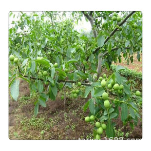 һ���փɹ��������� ���Ҙ������l �r������Xһ�w  Ҏ��ȫ����