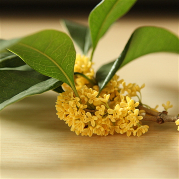 厂家直供   桂花香型   花香香精   日用香精   免费拿样