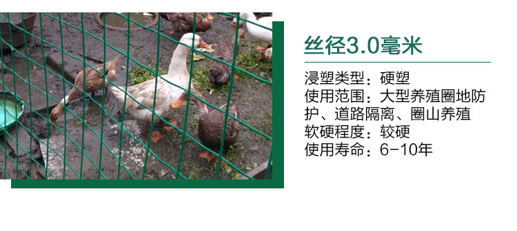 TB2H9tTorlmpuFjSZFlXXbdQXXa_!!