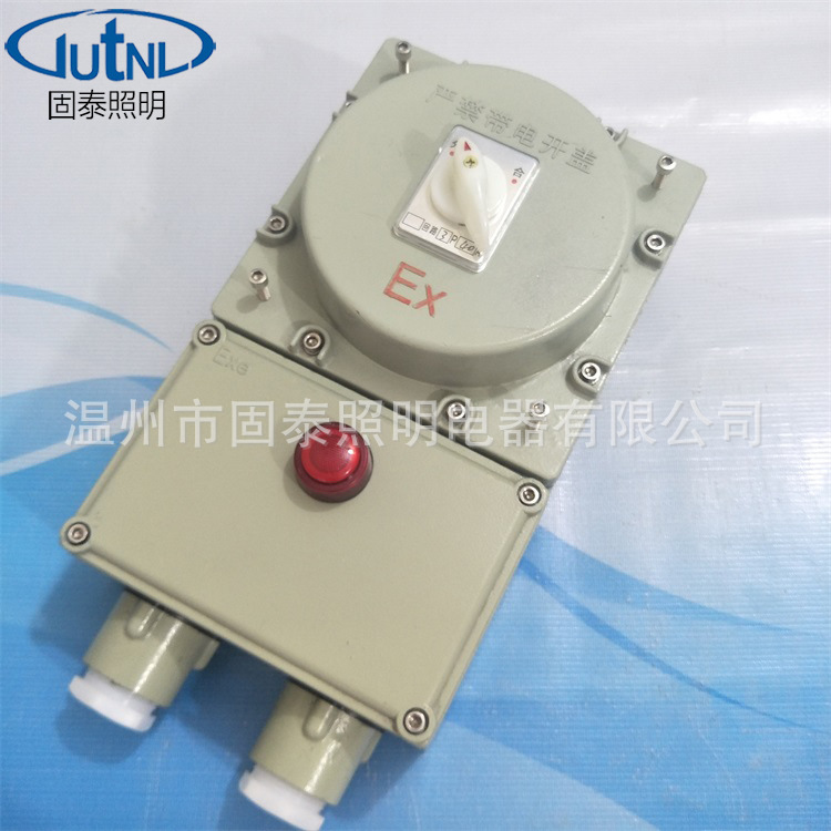 温州厂家定制 BDZ52-16A/2防爆断路器 10A 16A 32A 防爆转换开关