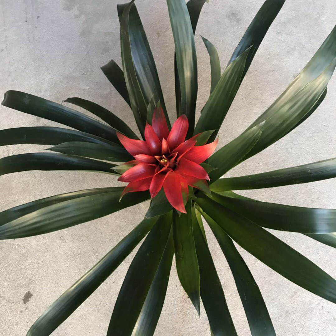 微信图片_20181218140254