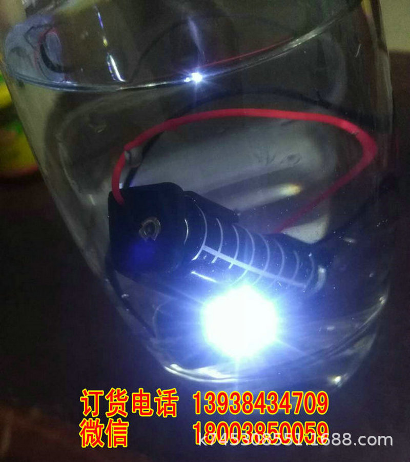 2095256704.jpg