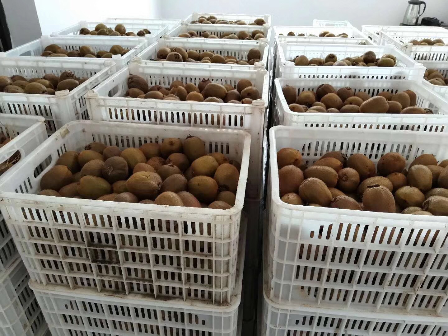 微信图片_20180906113753