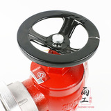 Оптовые национальные испытания ID 65 тип 2,5-дюймового гидравлического декомпрессионного тромбоза SNZW65-I