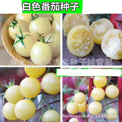 100 Vegetables seed white Cherry tomato seed Small tomatoes seed
