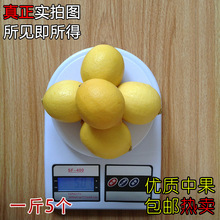 四川安岳柠檬 新鲜现摘黄柠檬 柠檬 中果一斤5个 5斤起 免邮