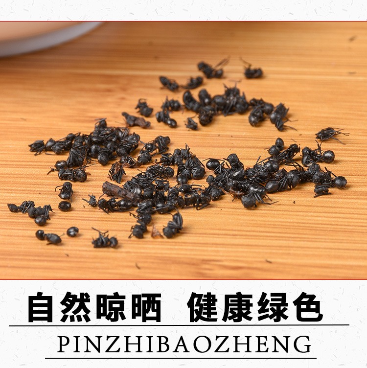 Black Ant (Polyrhachis vicina) — Dried Northeast Food-Herb for Wine Infusion & Soup key features