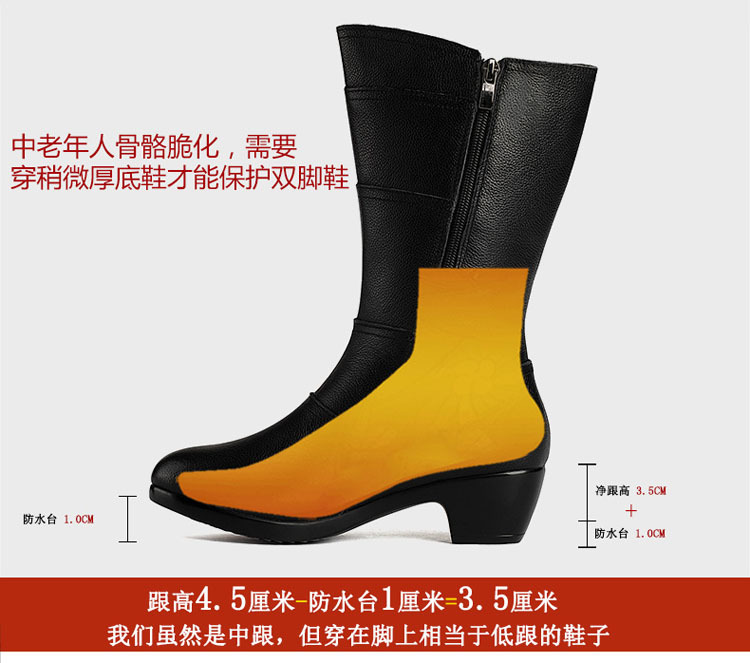 Bottes femme GIOVANNI en En cuir - Ref 3355474 Image 14