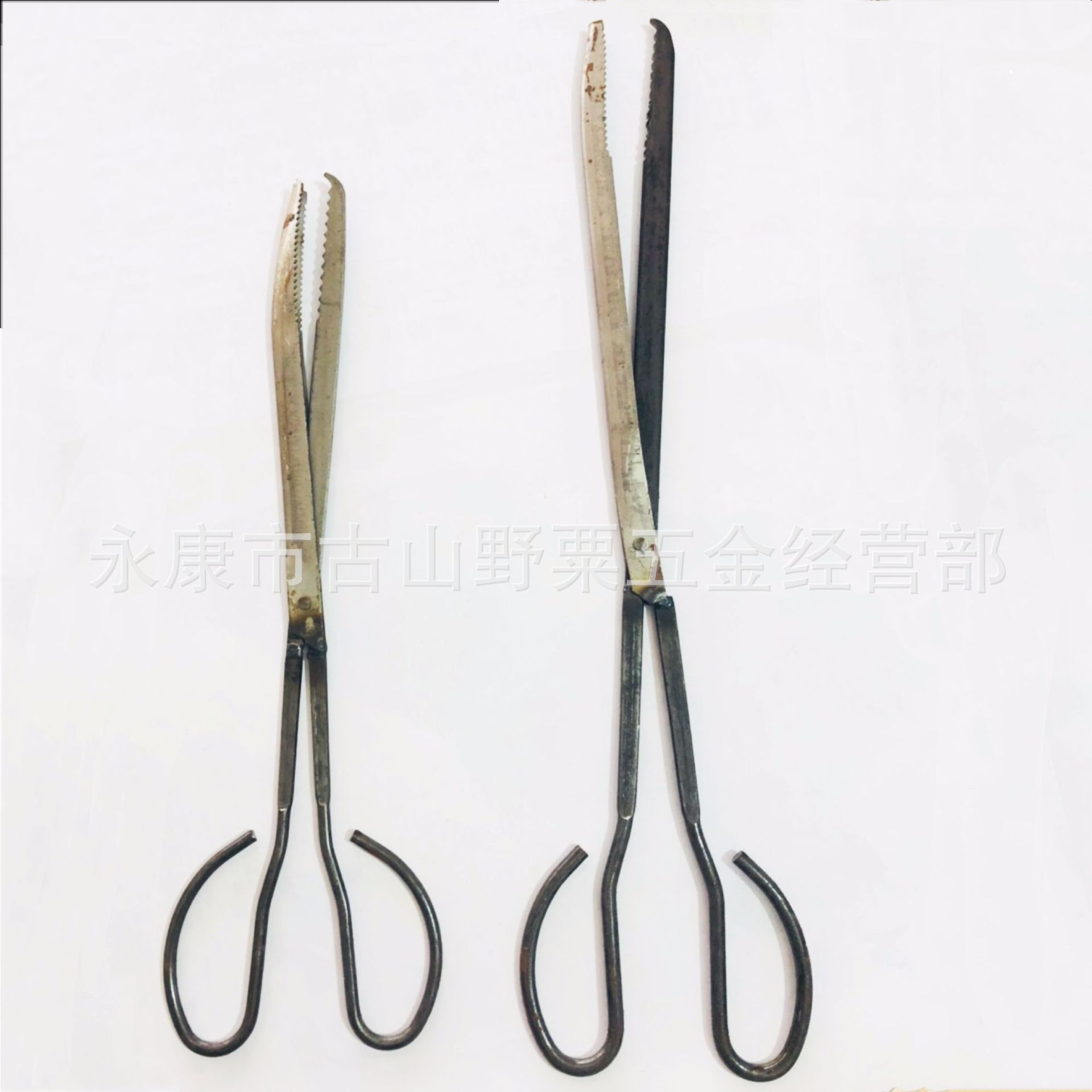 泥鳅工具,泥鳅,小泥鳅(第10页)_大山谷图库