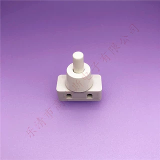 白色按钮开关 按键自锁开关 DS-412 灯具按键开关 按钮电源开关