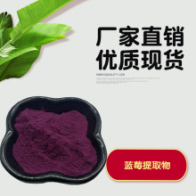 蓝莓提取物花青素25% 越橘提取物 欧洲越橘提取物