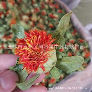 ����ؼt�� �ɶ�t�� �t������ ��Ȼ��Ʒ��Ʒ չ��