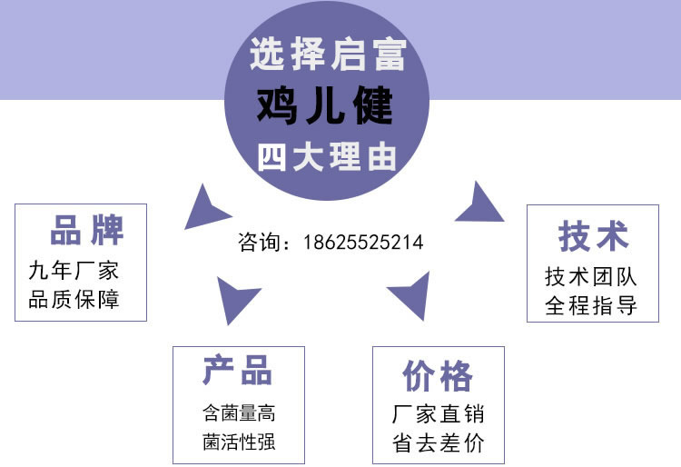 养鸡益生菌选择启富的理由