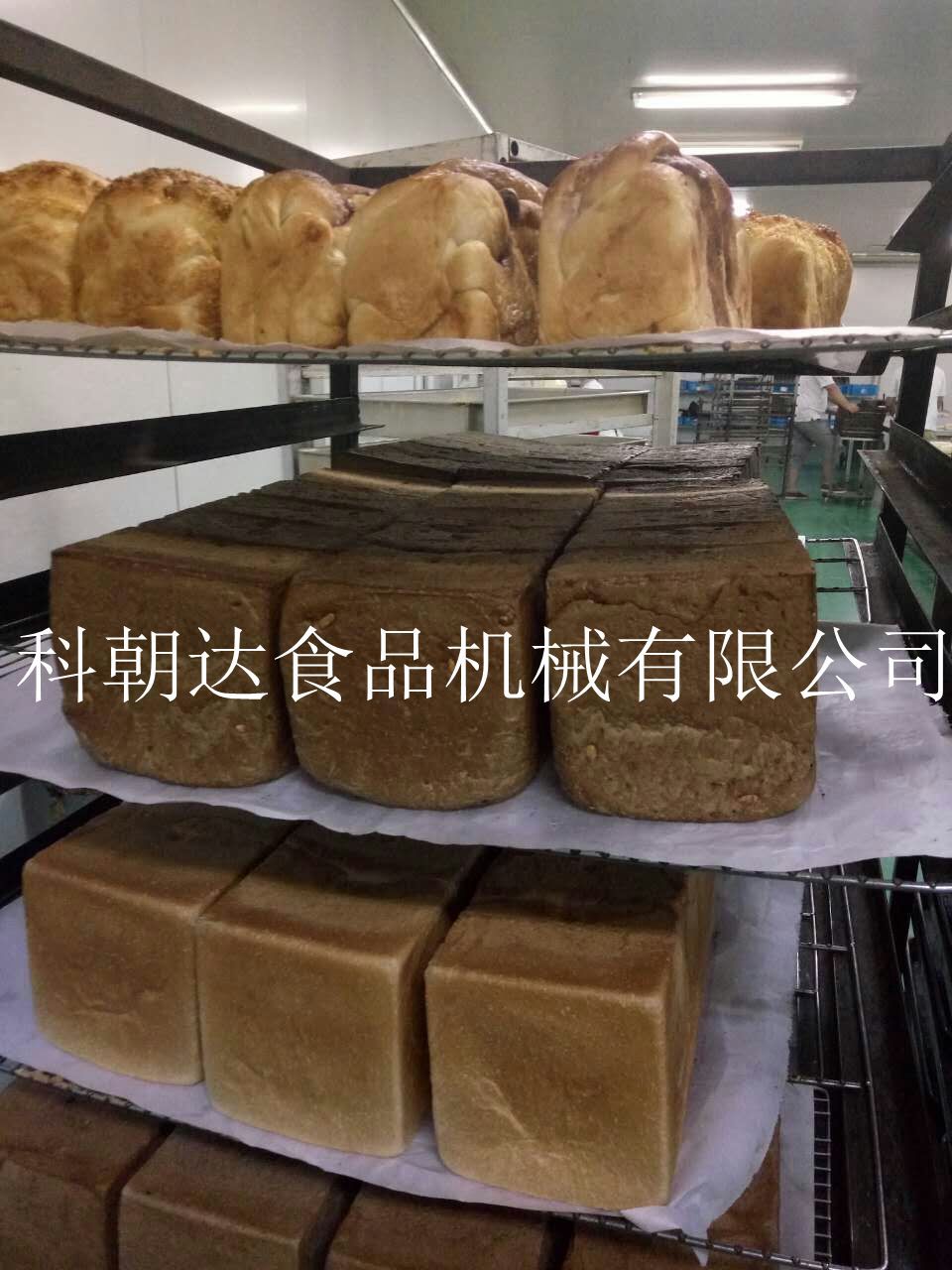 QQ图片20161219103107_副本