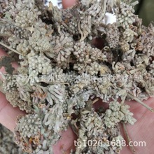 密蒙花  蒙花珠 老蒙花 水锦花 黄花醉鱼草干品 正品