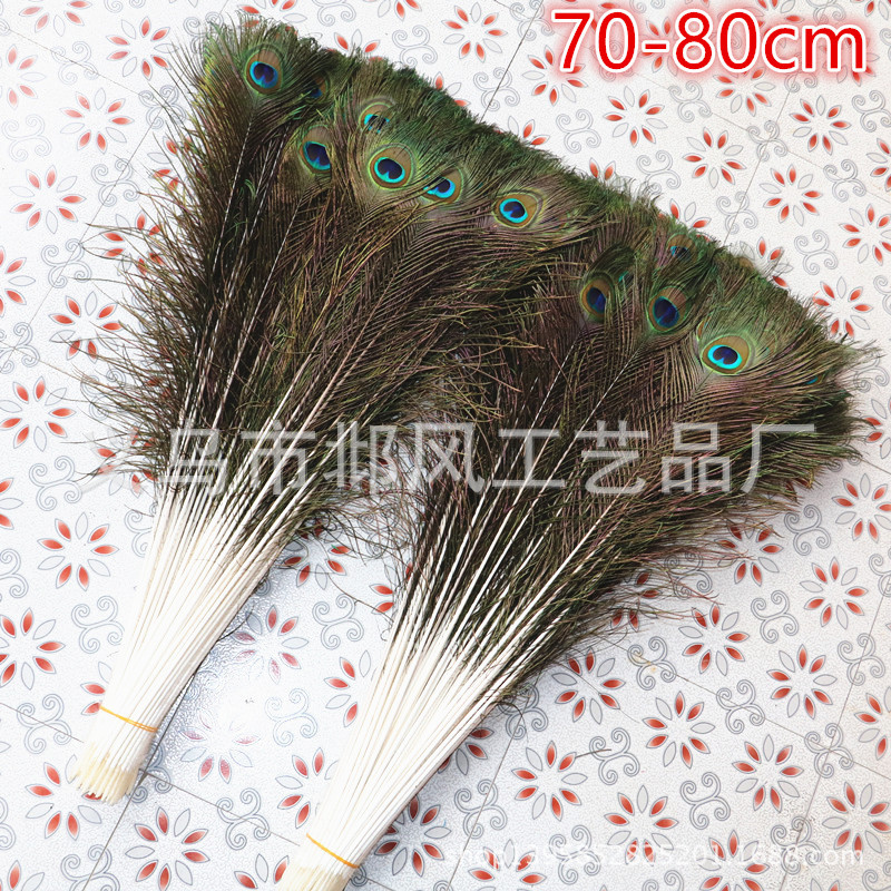 IMG_3000_副本_副本