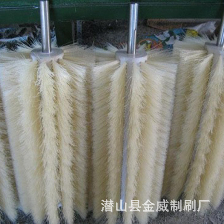 厂家订做工业毛刷辊 防酸碱毛刷辊 玻璃清洗毛刷果蔬清洗机毛刷