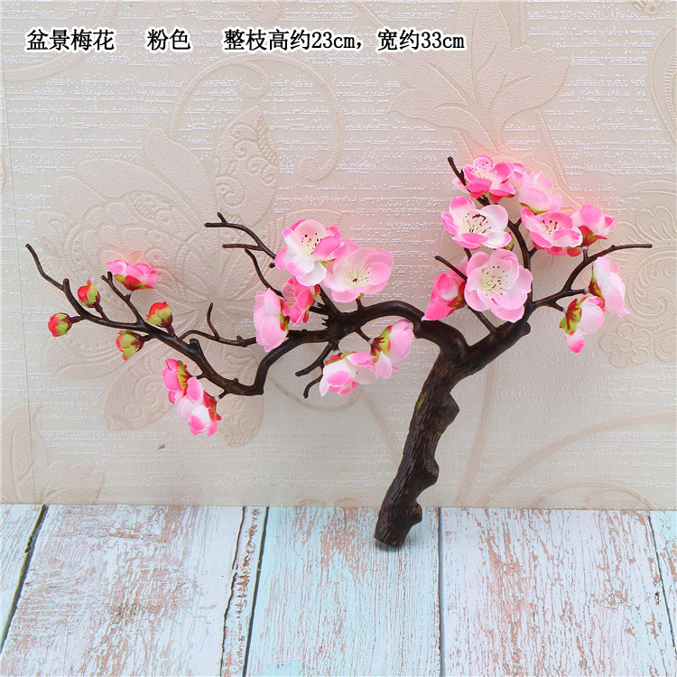 IMG_5667_副本 宋体.jpg