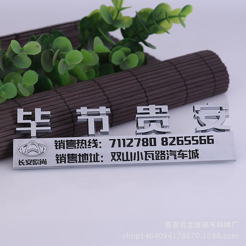 定制4S店环保塑料标牌 电镀点漆汽车车标 个性车友会ABS标牌