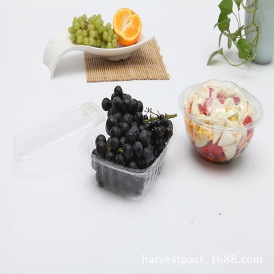 factory supply Plastic Food boxes HB-16 transparent disposable Fruit box OPS environmental protection texture of material Plastic boxes