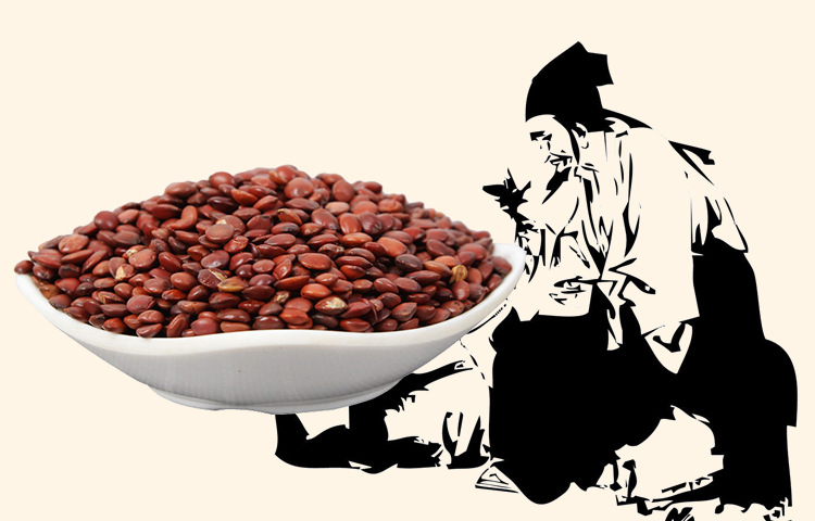 Suan Zao Ren (Ziziphus jujuba var. spinosa) — Dried Wild Jujube Seed for Tea & Soup overview