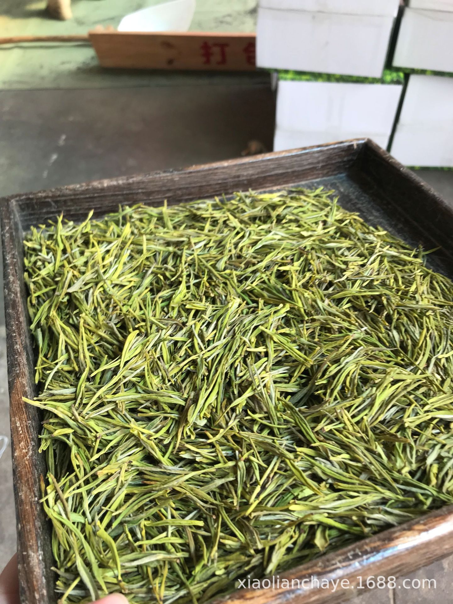 2023秋茶 黄金芽 新货 夏秋茶一样黄 好茶 礼品茶-阿里巴巴