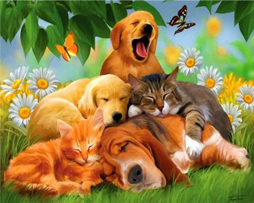 DW1815 狗和猫_2025.jpg