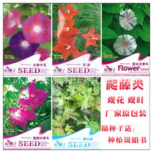 ��ţ���N�� �������Ȼ�ͥԺ�̨���܈@�־G��ֲ�ﻨ�ܷN��