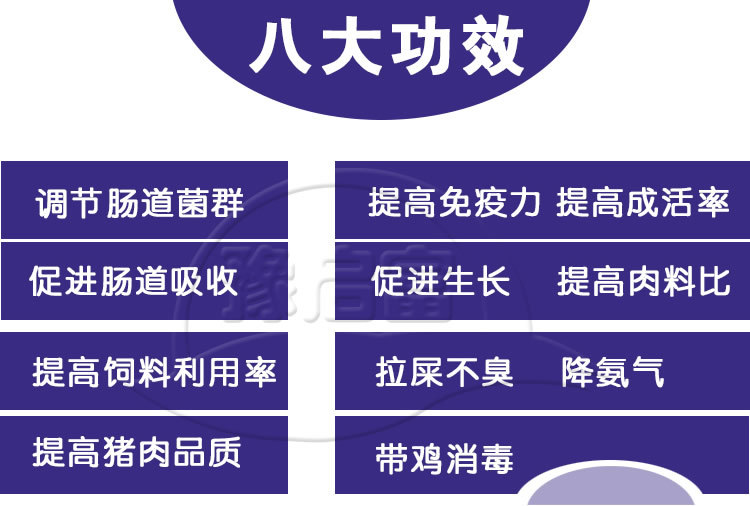 猪用益生菌功效