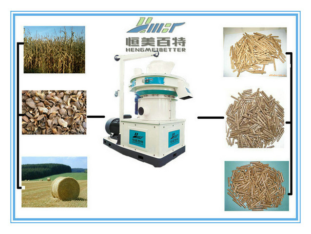 8438179753_166236090