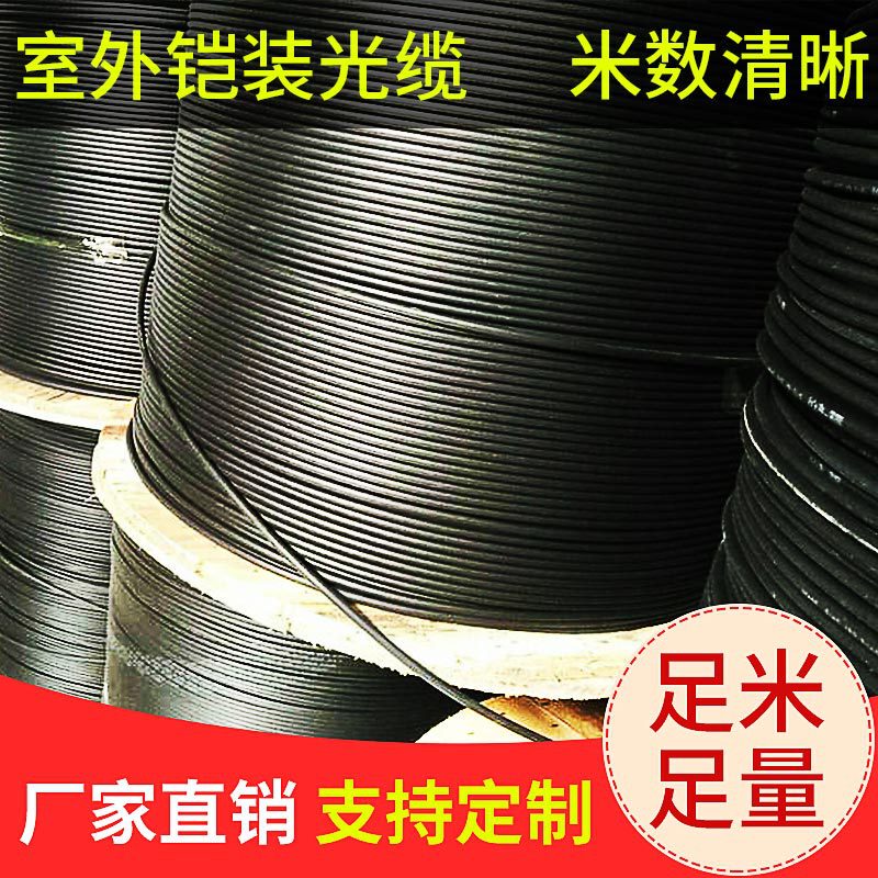TC-NET Middle Server Outdoor Armored Optical Cable Outdoor Communication Light Armored Optical Cable Outdoor Communication Optical Cable Fiber Optic TC-NET Middle Server Outdoor Armored Optical Cable Outdoor Communication Light Armored Optical Cable Outdoor Communication Optical Cable Fiber Optic