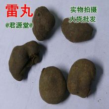 ���l ���� �e������ �׌� ���֥ ��ʸ