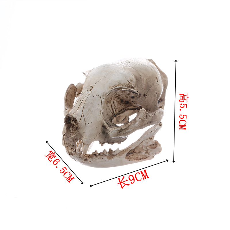 Cat skull resin crafts skull personality ornaments foreign trade supply Halloween decoration factory wholesale