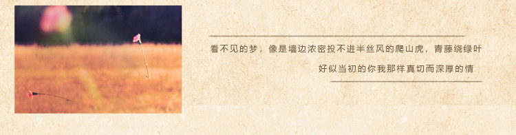 Bottes femme WHENSINGER      en En cuir - Ref 3354743 Image 27