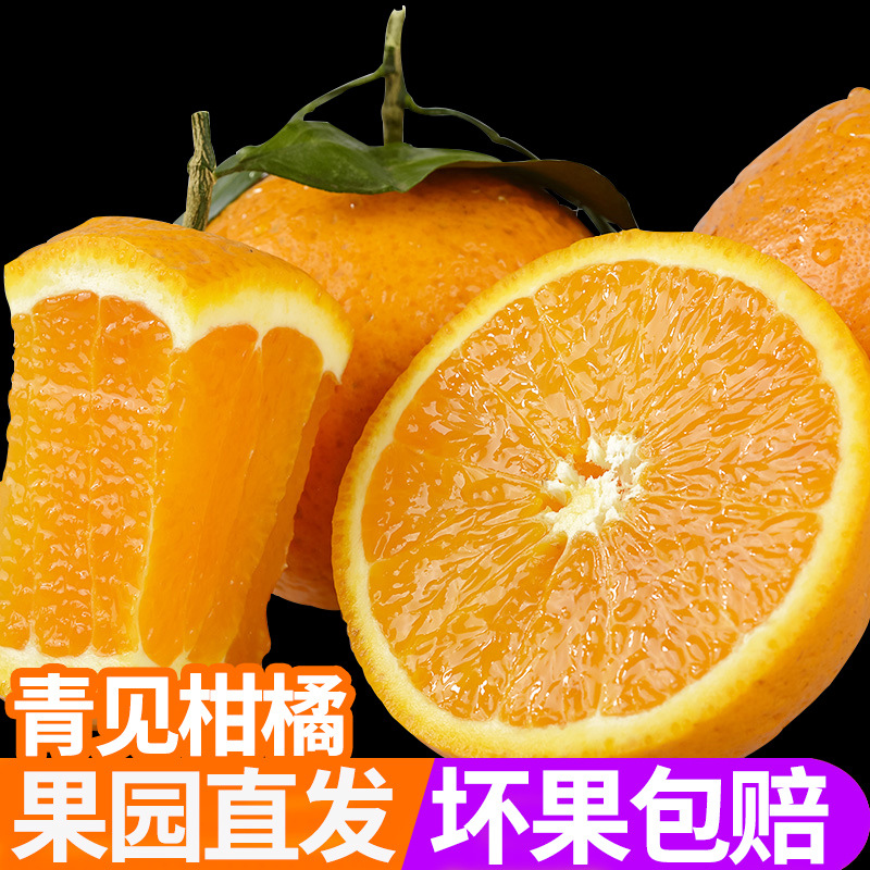 肥美四川青见柑橘，当季9斤新鲜橘子包邮，品味非凡的沃柑口感