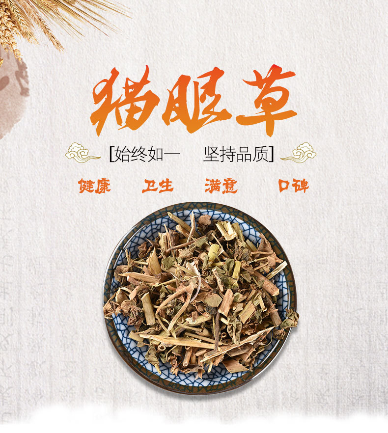 Mao Yan Cao (Euphorbia helioscopia) — Dried Whole Herb, Unsulfured, Anhui Origin overview