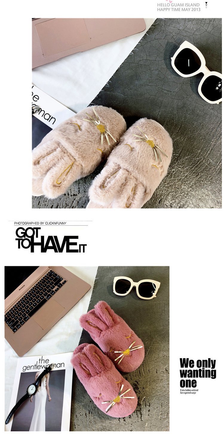 厂家直销新款厚底毛绒棉拖鞋秋冬季家居保暖柔软卡通女士棉拖批发