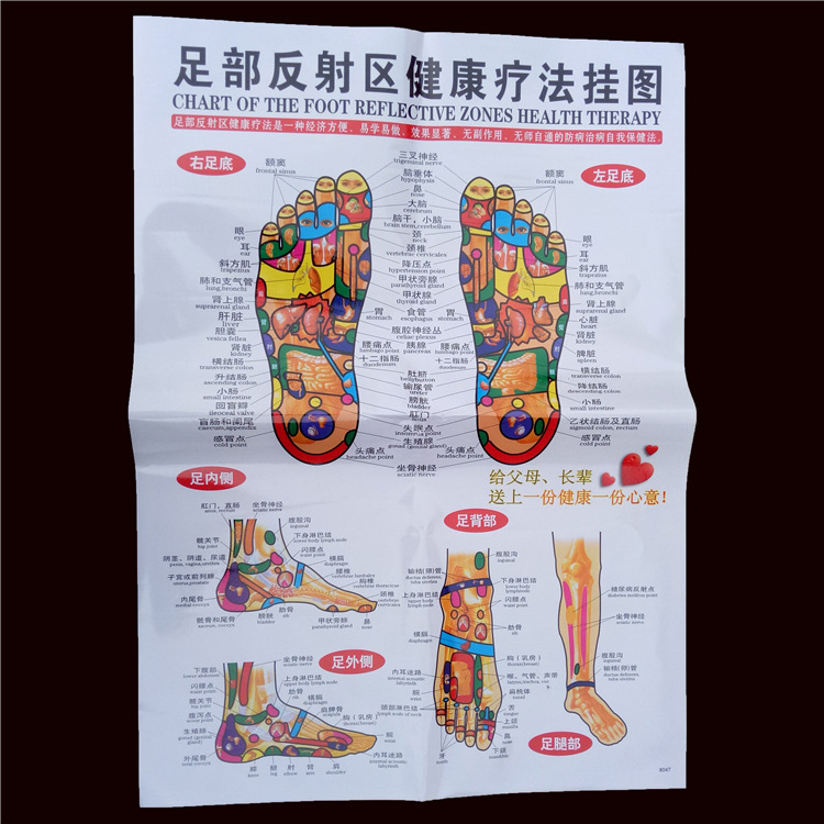 人体经络穴位图高清晰手掌耳朵 足底 足部全身穴位图按摩推拿挂图