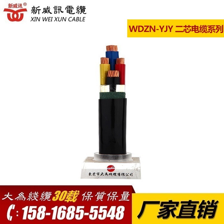 新威讯 二芯耐火电缆系列 WDZN-YJY-2*6 耐温电缆