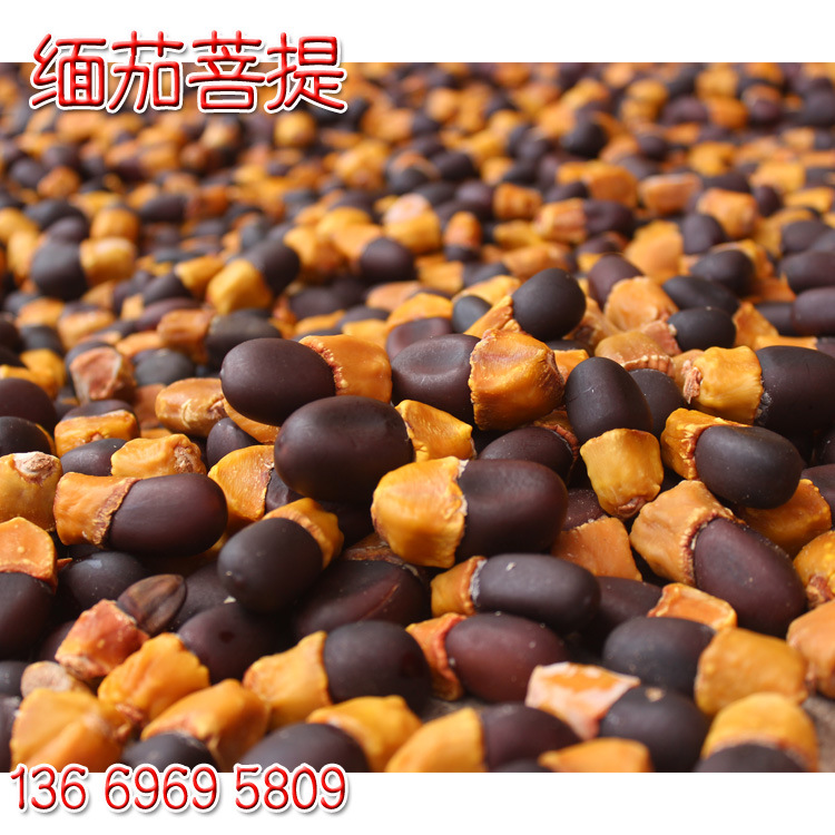 新货缅茄菩提子 玛牙果阴阳果马牙子 阴阳子泡酒料玛牙果