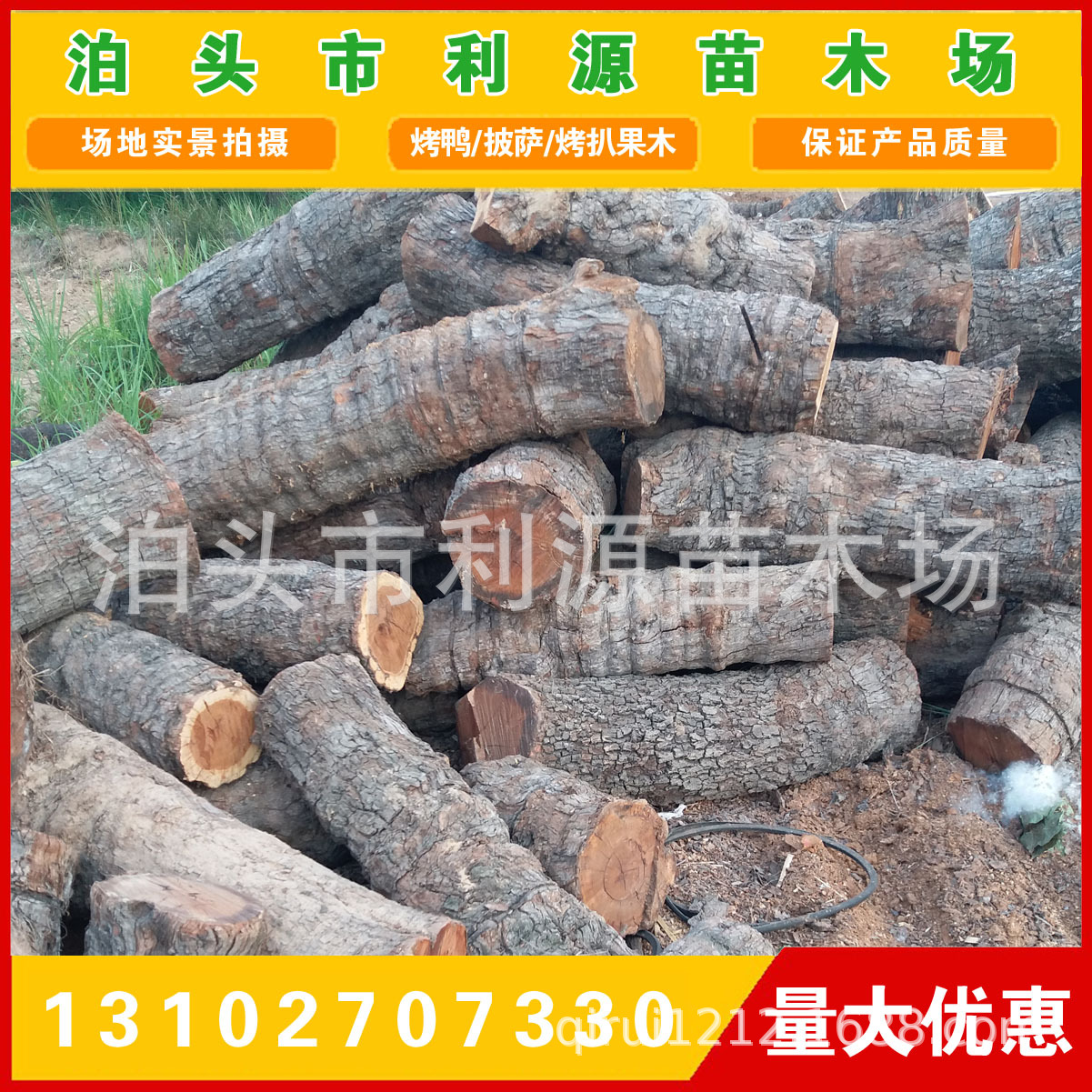 常年供应枣木 枣树木直径25-50公分 枣木 雕刻枣木 枣木墩用料-阿里巴巴
