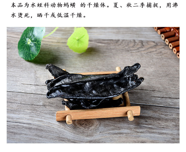 Shui Zhi (Hirudo / Leech) — Dried Clean-Water Leech, Hand-Selected Food Herb key features