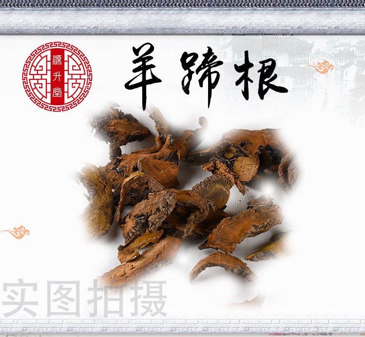 Yang Ti Gen (Rumex japonicus) — Sulfur-Free Dried Root, 500g Bulk Herbal Decoction Piece overview