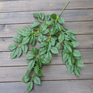 ��Ʒ���з�����~���¹���G���@�ֹ����b�����S�����l