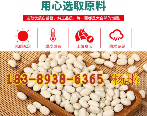 白芸豆