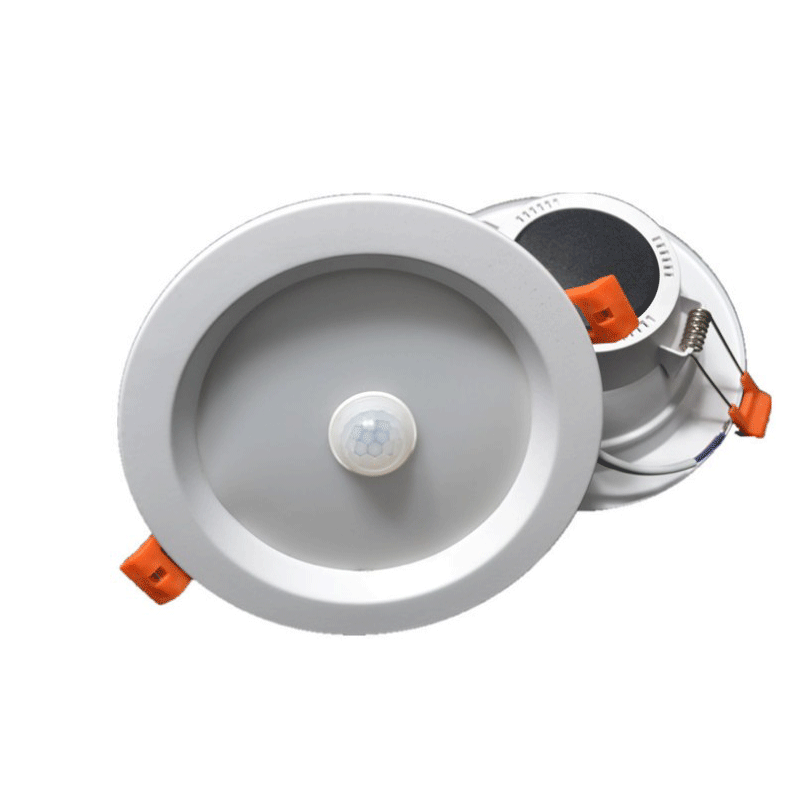 Induction lamp Production plant goods in stock supply infra-red human body Induction Down lamp Sound and light control Down lamp hotel Induction Aisle lights
