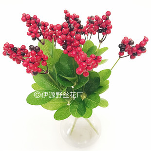 �{��֦�lؔ���{�� ������мٻ���c�t��ֲ��Ҿ��b������l