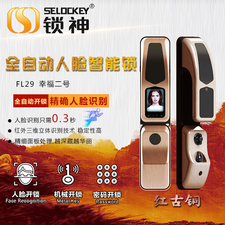 鎖神專注穩定性人臉識別鎖家用防盜門全自動活體人臉識別技術